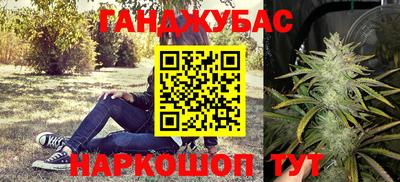 сатива Волгодонск
