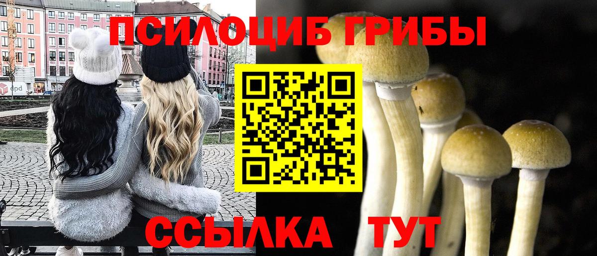 Галлюциногенные грибы ЛСД  Псилоцибиновые грибы ЛСД  Вход с VPN  как найти   Берёзовский 