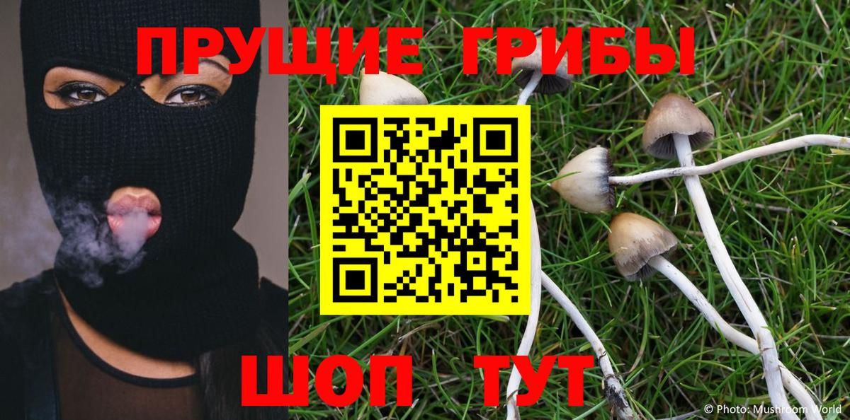 Псилоцибиновые грибы Magic Shrooms Берёзовский